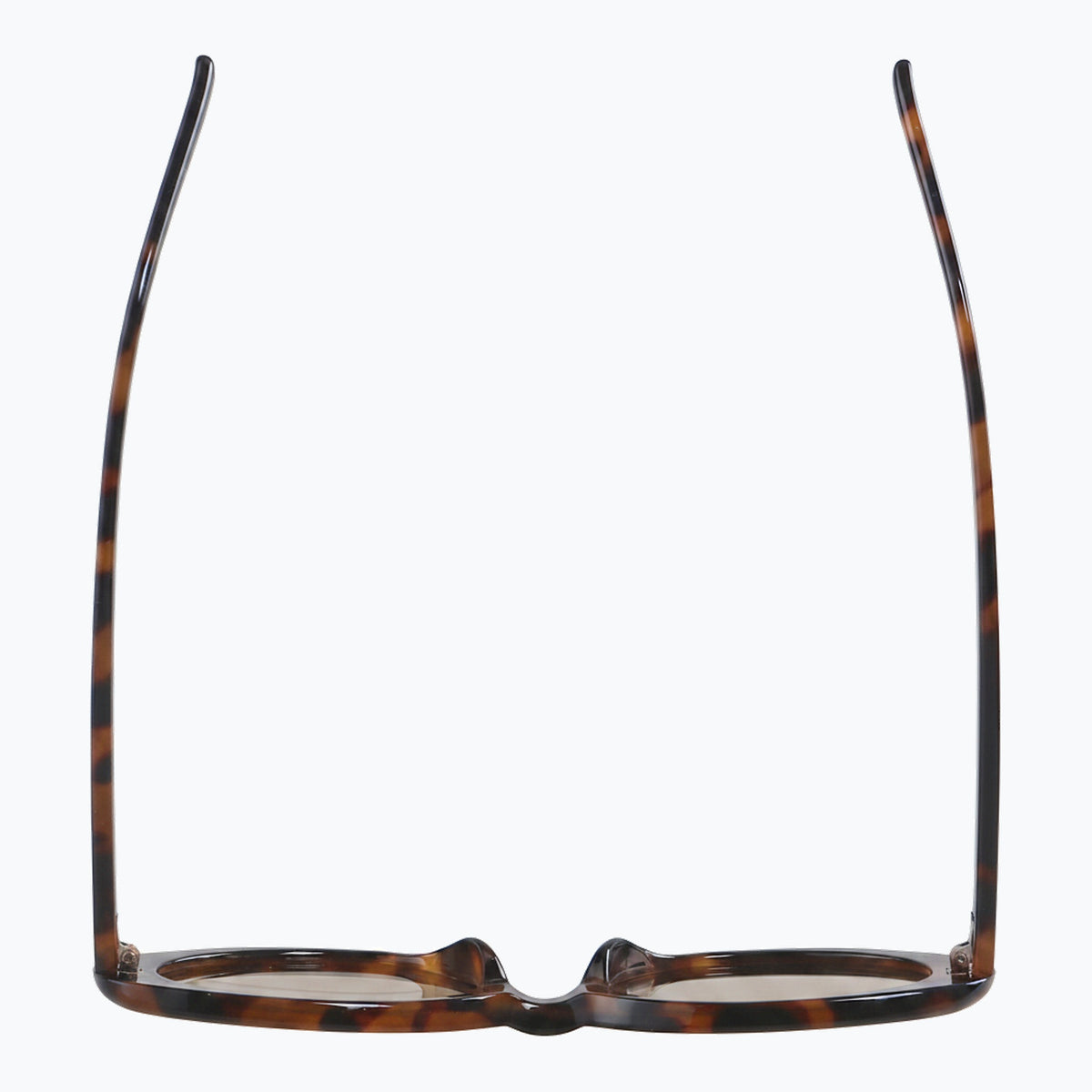 Jaxy Scarlet Oval sunglasses — top view #Color_Antique tort