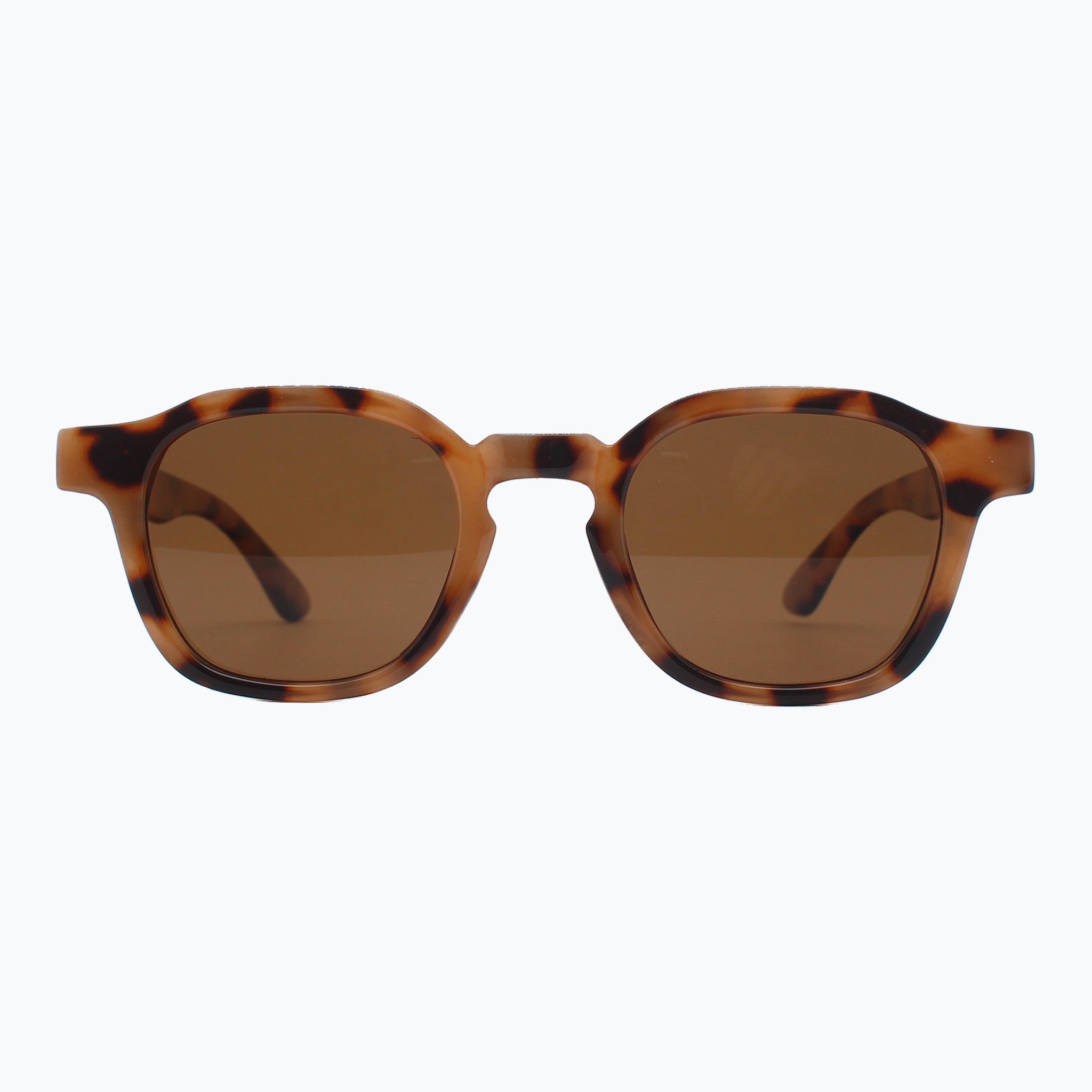 Jaxy Windsor in Tortoise — Square Polarized sunglasses