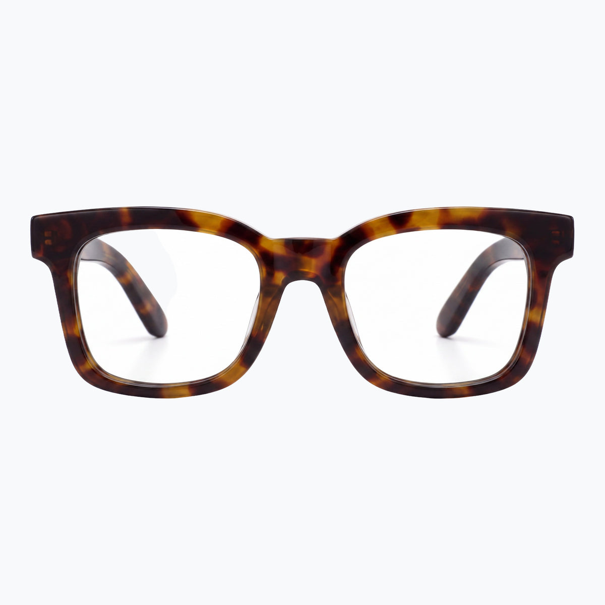 Jaxy Tempo in Tortoise — Square sunglasses #Color_Tortoise