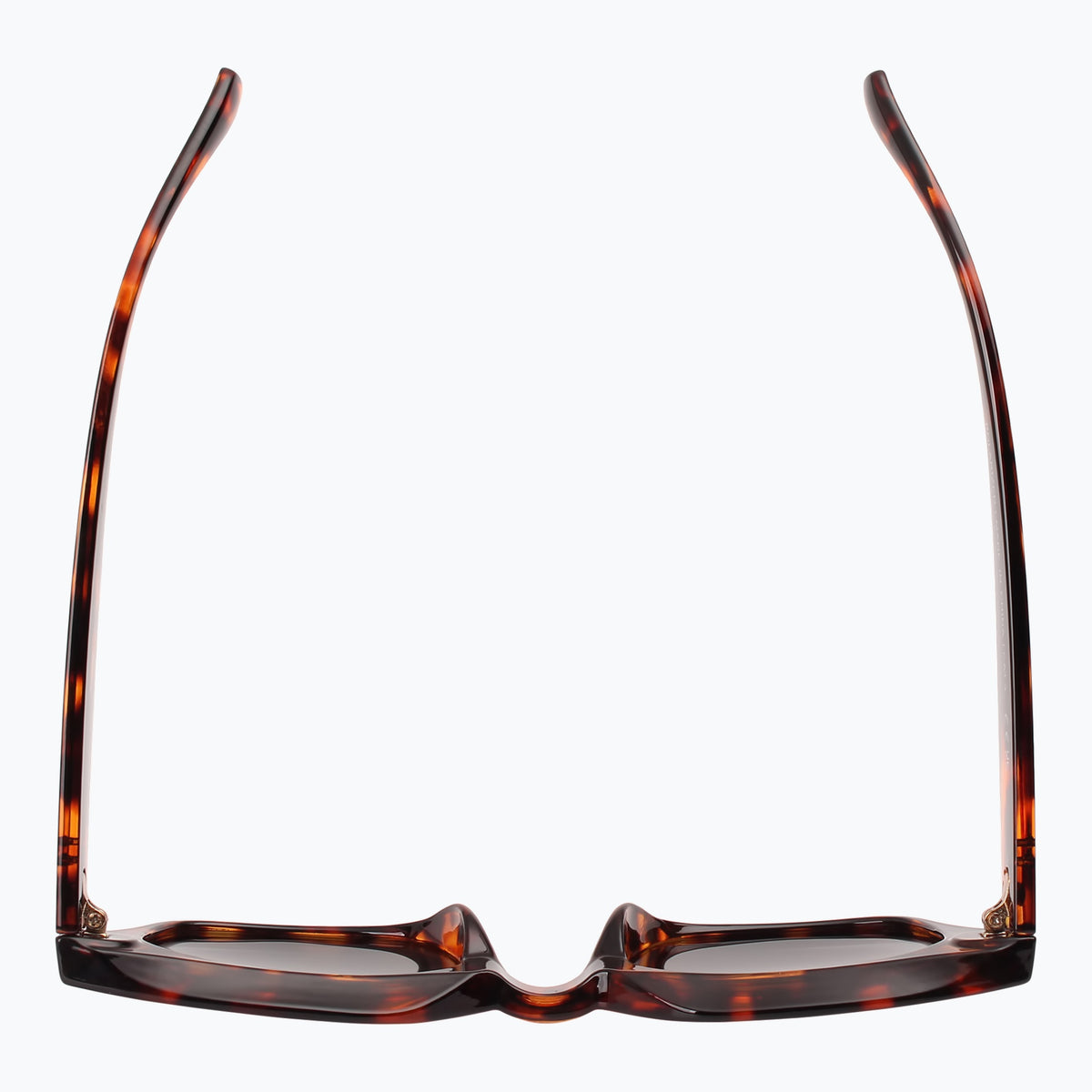 Jaxy Eclipse Square sunglasses — top view #Color_Tortoise