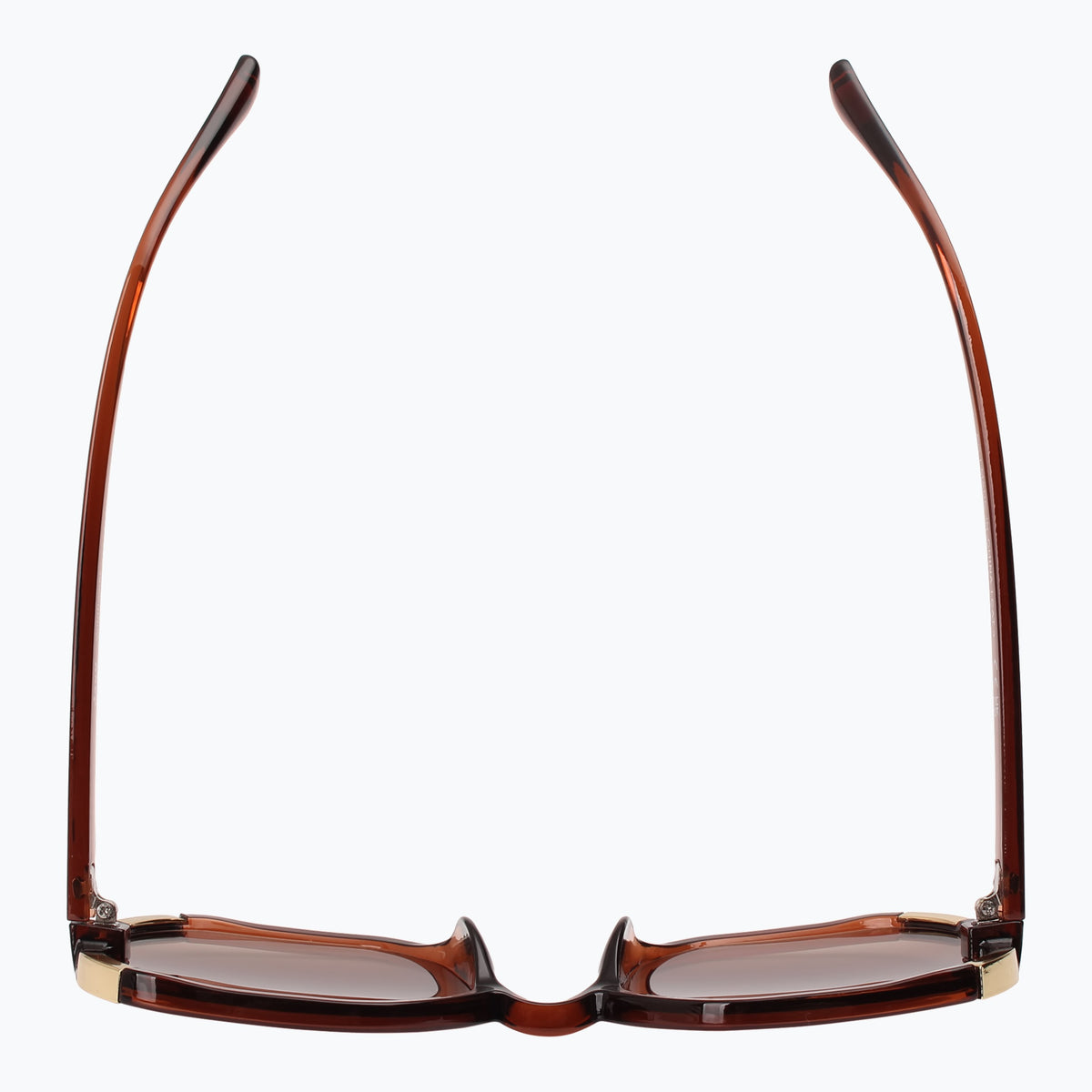 Jaxy Wildflower Square sunglasses — top view #Color_Brown