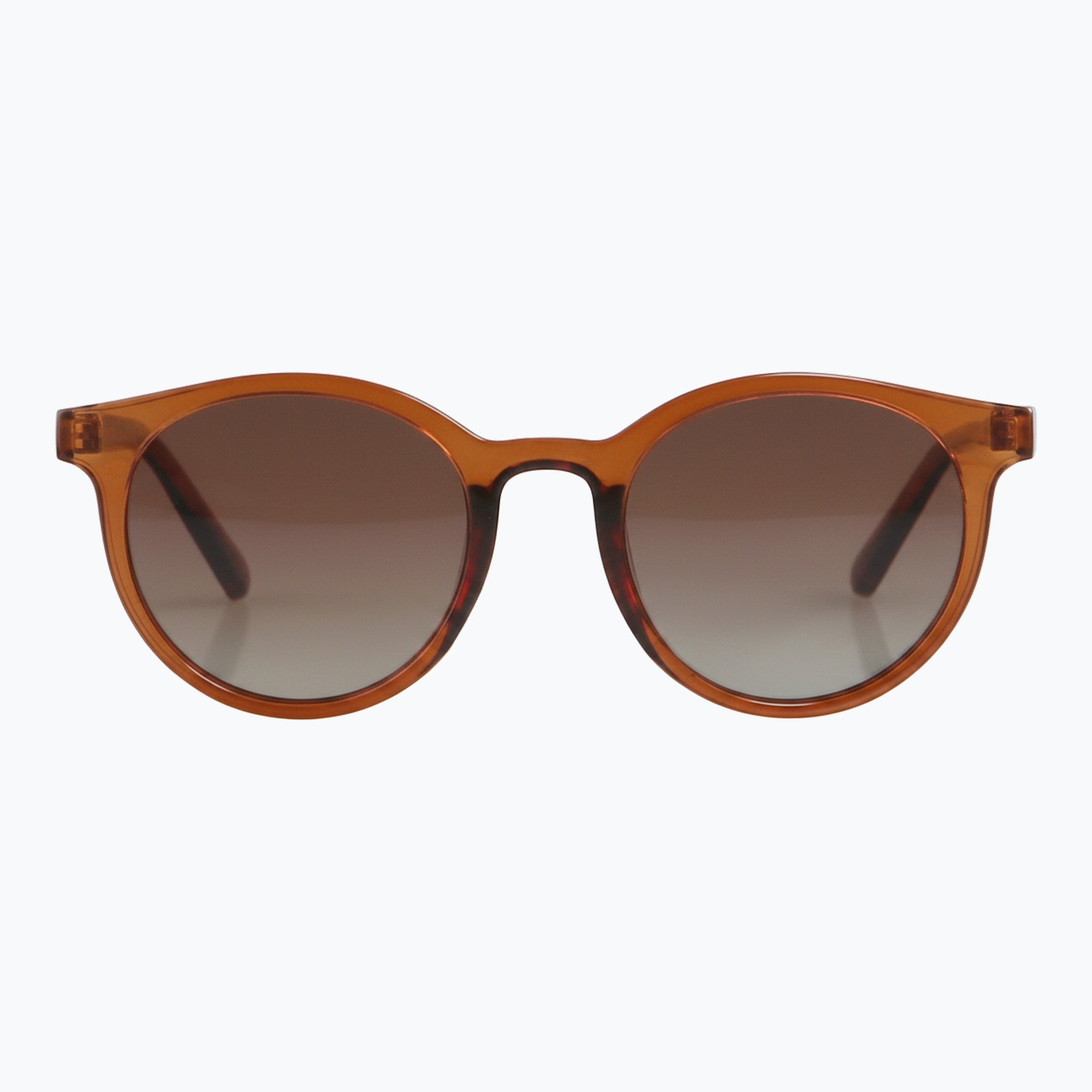 Jaxy Havana Haze in Brown — Square Polarized sunglasses