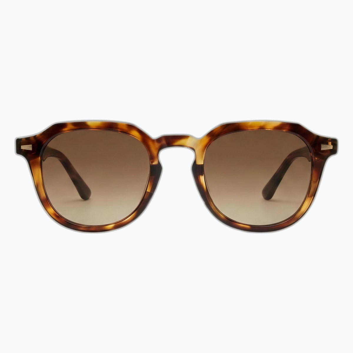 Jaxy Reverie in Tortoise — Round sunglasses #Color_Tortoise