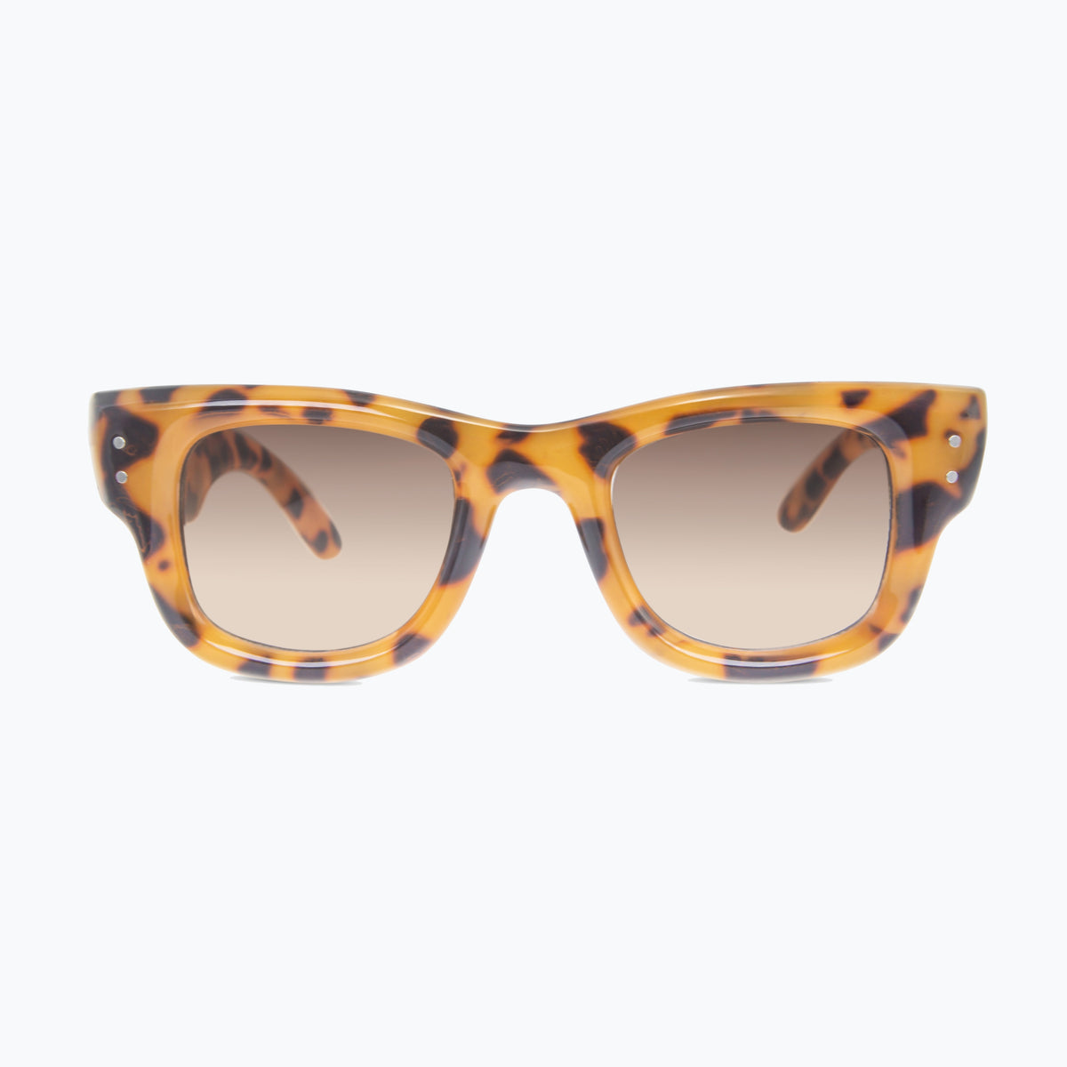 Jaxy District in Amber/Tortoise — Square sunglasses #Color_Amber/Tortoise
